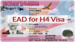 EAD for H4 Visa